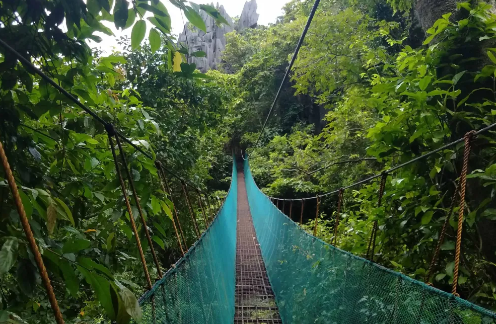 Taraw-Cliff-hanging-bridge-2 copy