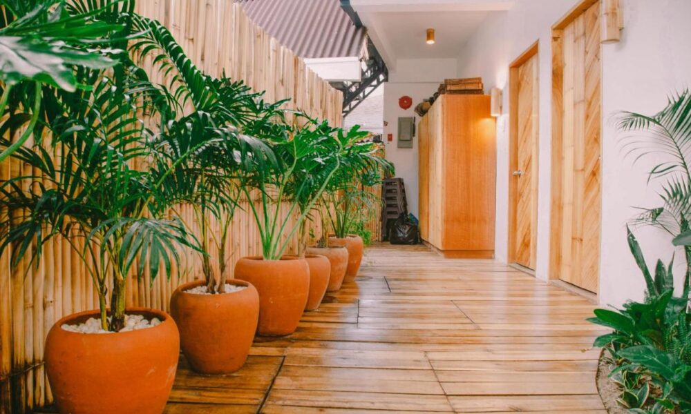 Sanse Boutique Hotel El Nido